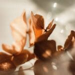 img 44 copyright | Devsource by Maxime GUINARD