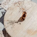 img 51 copyright | Devsource by Maxime GUINARD