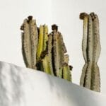 img 52 copyright | Devsource by Maxime GUINARD